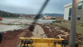 batch_6f01859c-70a6-4378-a7ae-f7d614ef8c48