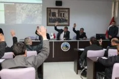 batch_12ac6360-ffd9-4bc5-b77e-c55a7b645866