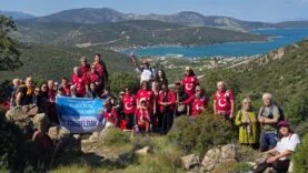 batch_79646b27-7c4e-46cc-ac70-00bbe3f95343