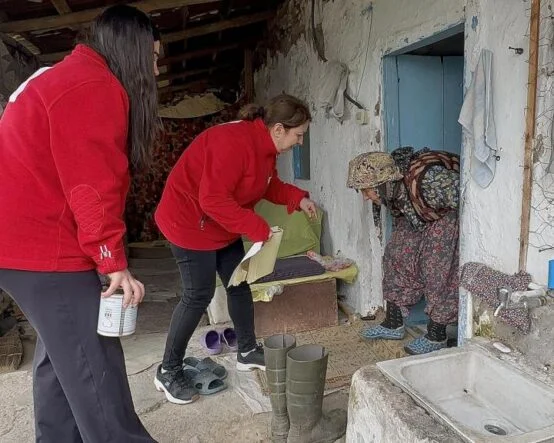 batch_c6237f48-561a-4d6c-9286-01e0241d2614