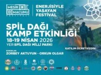 batch_f_45699_75f52f9c76404a7781fb93074445866d